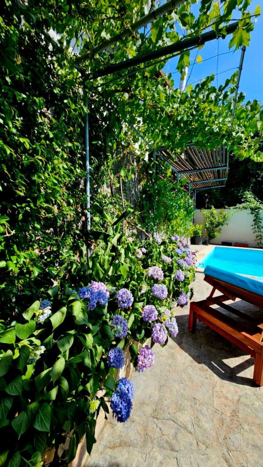 Lovely House With Swimming Pool 모스타르 외부 사진
